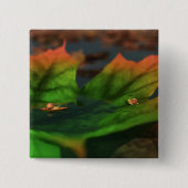 Das Wasser ist breit Button (Vorderseite)