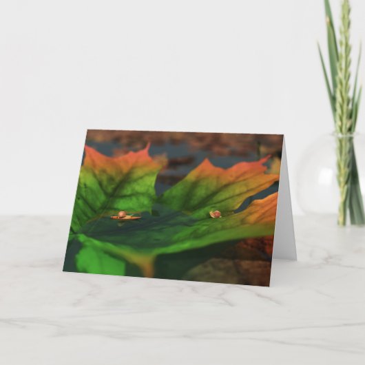 Das Wasser ist breit Karte (Vorderseite)