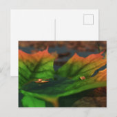 Das Wasser ist eine große Postkarte (Vorne/Hinten)