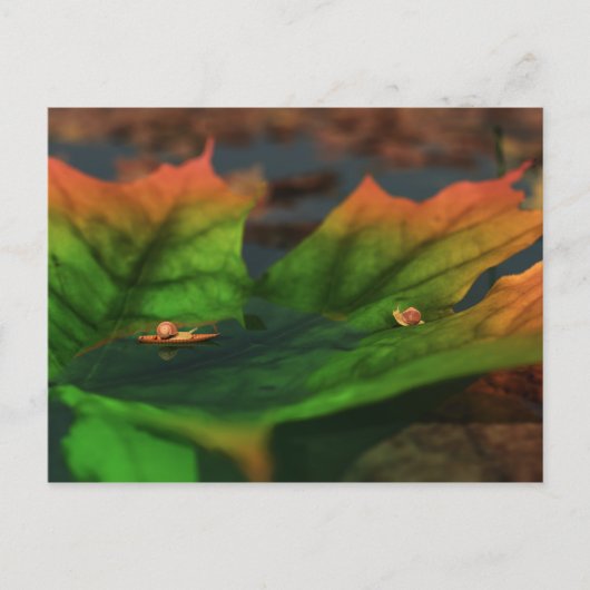 Das Wasser ist eine große Postkarte (Vorderseite)