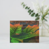 Das Wasser ist eine große Postkarte (Stehend Vorderseite)