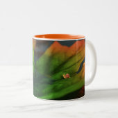 Das Wasser ist eine große Tasse (VorderseiteRechts)