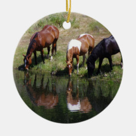 Das Wasserloch Keramik Ornament