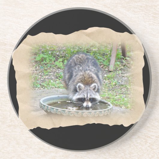 Das Wasserloch - Raccoon Untersetzer (Vorne)