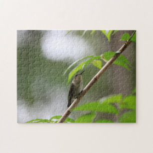 Das Watcher Hummingbird Family Fun Puzzle