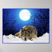 Das Watcher Wolf Poster (Vorne)