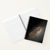Das Wayward Interstellar Objekt Oumuamua. Notizblock (Innenseite)