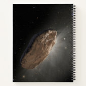 Das Wayward Interstellar Objekt Oumuamua. Notizblock (Rückseite)