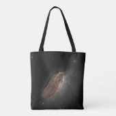 Das Wayward Interstellar Objekt Oumuamua. Tasche (Rückseite)