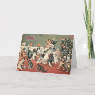 Das Weihnachten der Katze