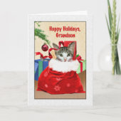 Das Weihnachten des Enkels, Katze unter Baum (Vorderseite)