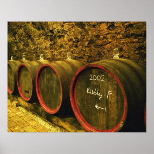 Das Weingut Kiralyudvar: Fässer mit Tokajer Wein Poster