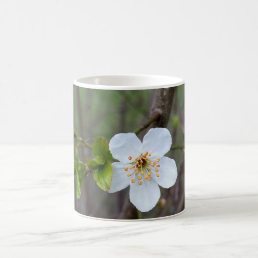 Das Weiß des Frühlings Kaffeetasse (Mittel)