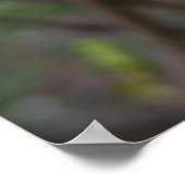 Das Weiß des Frühlings Poster (Ecke)