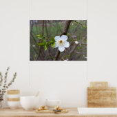 Das Weiß des Frühlings Poster (Küche)