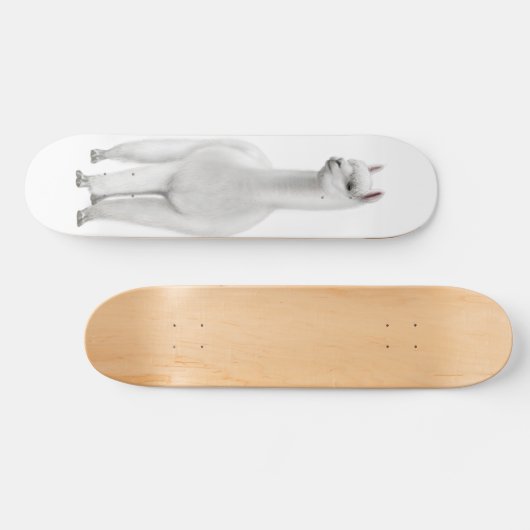 Das weiße Alpaka-Skateboard Skateboard (Horizontal)