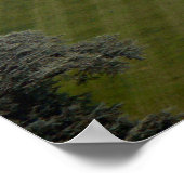 Das Weiße Haus - Südfassade Poster (Ecke)