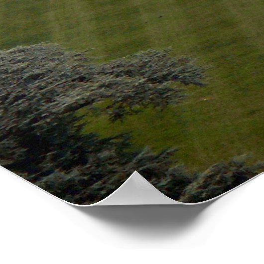 Das Weiße Haus - Südfassade Poster (Ecke)