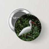 Das weiße IBIS… Button (Vorne & Hinten)