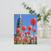 Das weiße kanadische Tulip Festival, der Friedenst Postkarte (Stehend Vorderseite)