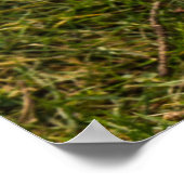 Das weiße Kaninchen Poster (Ecke)