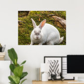 Das weiße Kaninchen Poster (Heimbüro)