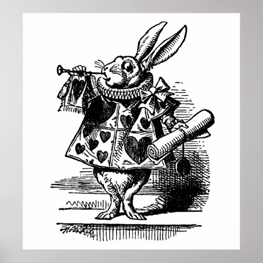 Das weiße Kaninchen Poster (Vorne)