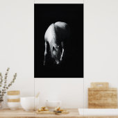 Das weiße Pferd Poster (Küche)