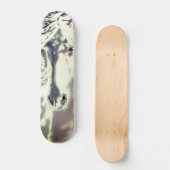 Das weiße Pferd - Skateboard (Vorderseite)