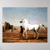 Das Wellesley Gray Arabian von Jacques Agasse Poster (Vorne)