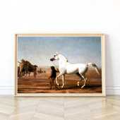 Das Wellesley Gray Arabian von Jacques Agasse Poster