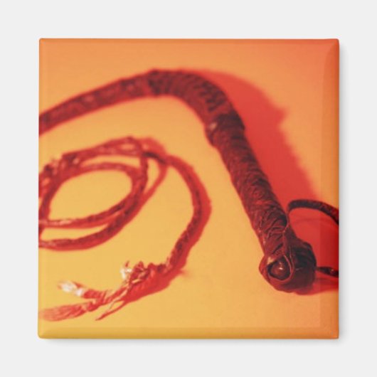 DAS WHIP MAGNET (Vorne)