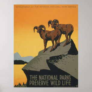 Das wilde Leben der Nationalparkkonserve Poster