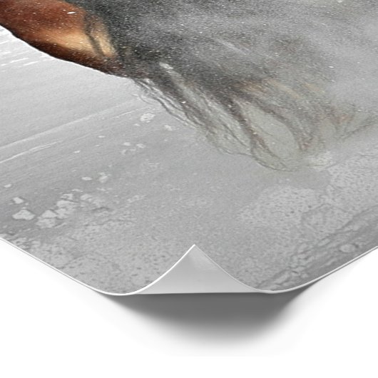 Das Winter Chase Horster Poster (Ecke)