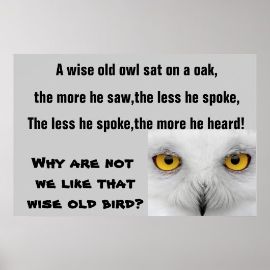 DAS WISE OLD OWL Poster (Vorne)