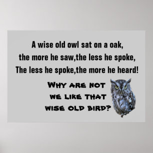 DAS WISE OLD OWL Poster