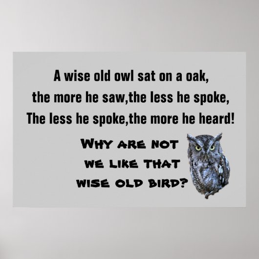 DAS WISE OLD OWL Poster (Vorne)