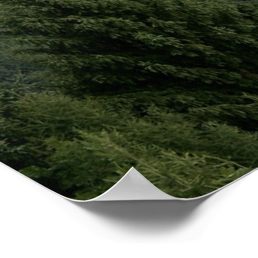 Das Wort Danny Boy! Poster (Ecke)