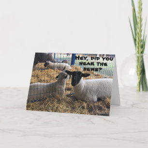 DAS WORT HIER IST "DU HAST EINEN GEBURTSTAG" KARTE