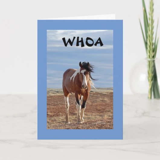 DAS WORT IST: SIE SIND **12** KARTE (Vorderseite)