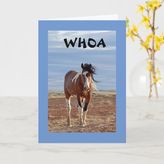 DAS WORT IST: SIE SIND **8** KARTE (Gelbe Blume)