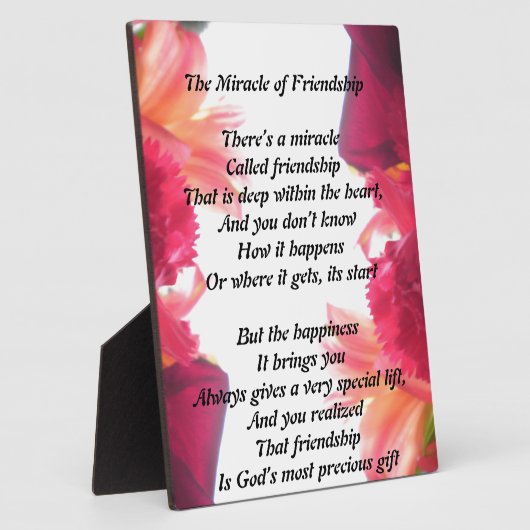 Das Wunder der Freundschaftsplattform Fotoplatte (Seite)