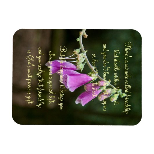 Das Wunder des Freundschaftsgedichts Plaque Magnet (Horizontal)