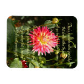 Das Wunder des Freundschaftsgedichts Plaque Magnet (Horizontal)