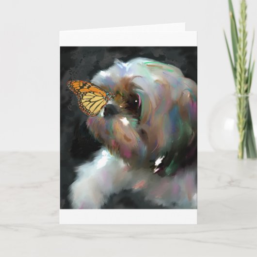 das wunder.jpg karte (Vorderseite)