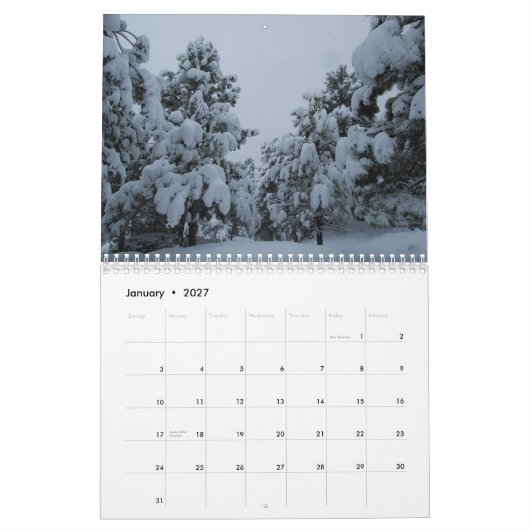 Das Wunder-Kalender 2014 der Natur Kalender (Jan 2027)