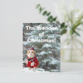Das Wunder von Weihnachten! Feiertagspostkarte (Stehend Vorderseite)