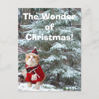 Das Wunder von Weihnachten! Feiertagspostkarte