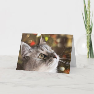 Das Wunder von Weihnachten (Karte)