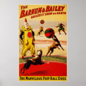 Das wunderbare Poster der Foot Ball Hunde (Vorne)